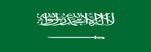 Saudi Arabia Visa Check